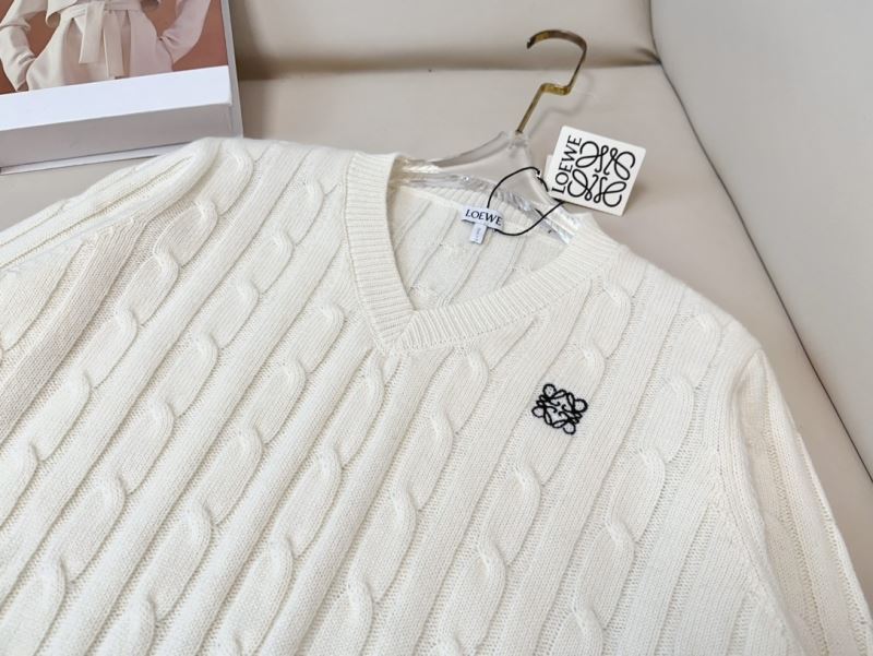 Loewe Sweaters